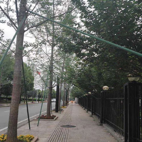 北京玻璃鋼樹(shù)木支撐架銷售操作流程