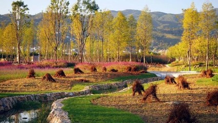 東方園林 向全能型生態(tài)環(huán)保企業(yè)邁進(jìn)，持續(xù)深耕循環(huán)經(jīng)濟(jì)與樹(shù)木種植經(jīng)營(yíng)